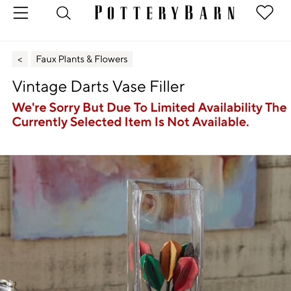Pottery Barn Rustic Vintage Decorative Accent Darts Vase Filler 🎯 - Picture 11 of 12